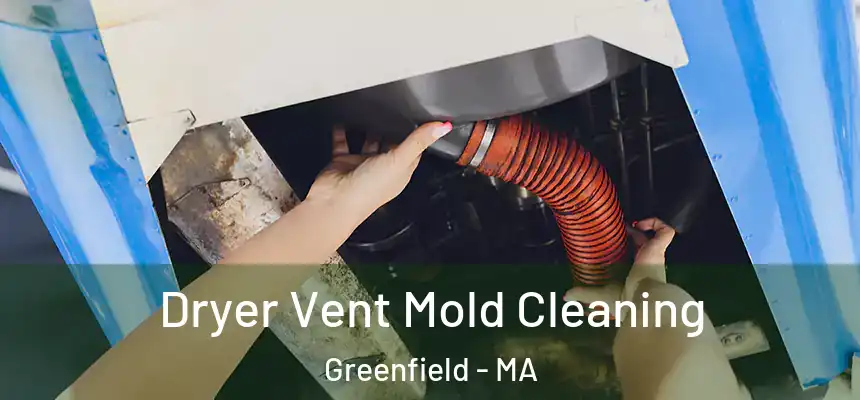  Dryer Vent Mold Cleaning Greenfield - MA