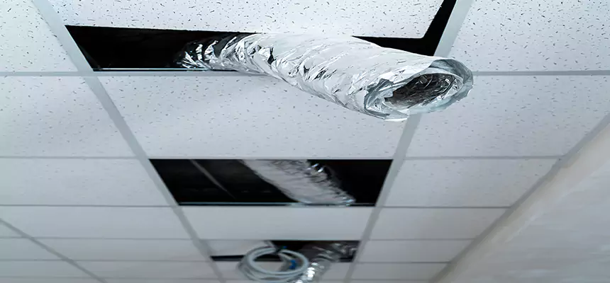 Our Air Duct Pet Hair Removal Services in Greenfield, MA