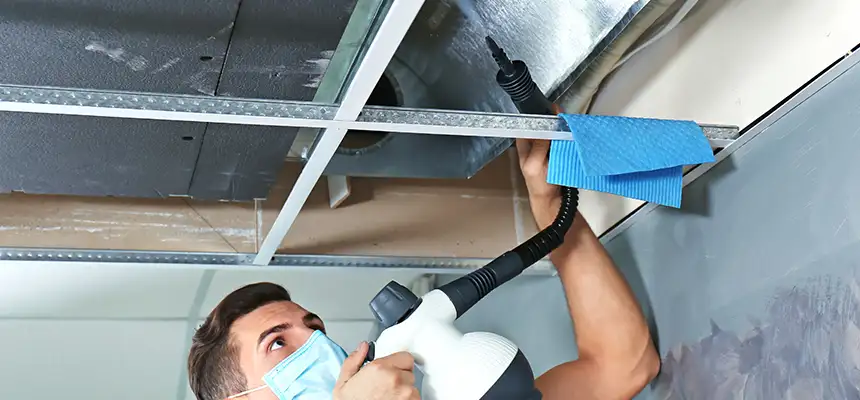 Our Air Duct Rodent Removal Services in Greenfield, MA