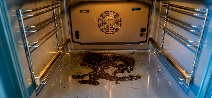 Our Dryer Vent Mold Cleaning Services in Greenfield, MA