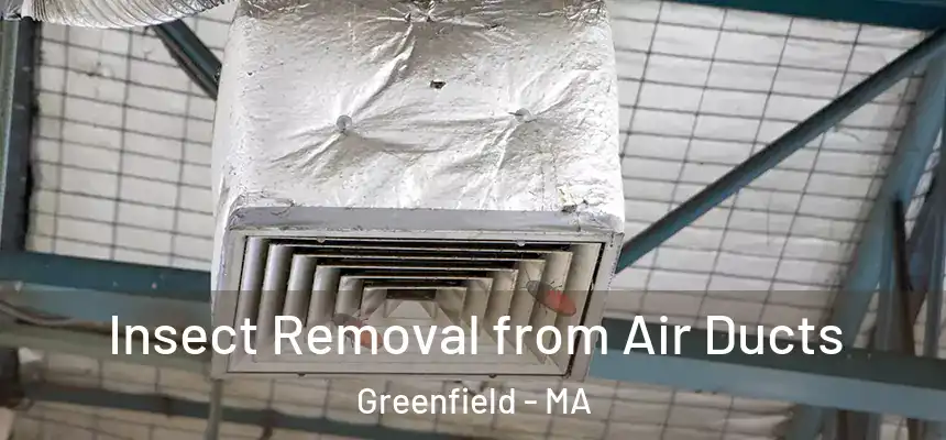  Insect Removal from Air Ducts Greenfield - MA