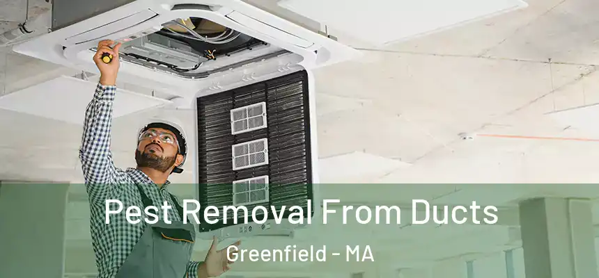  Pest Removal From Ducts Greenfield - MA