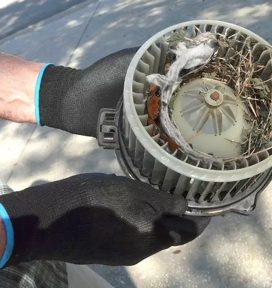 About Air Duct Rat Removal in Greenfield, MA