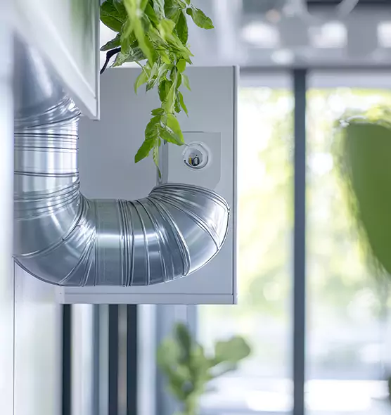 Professional Eco-Safe Dryer Vent Cleaning in Greenfield, MA