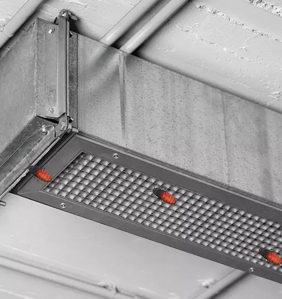 Affordable Insect Removal from Air Ducts in Greenfield, MA