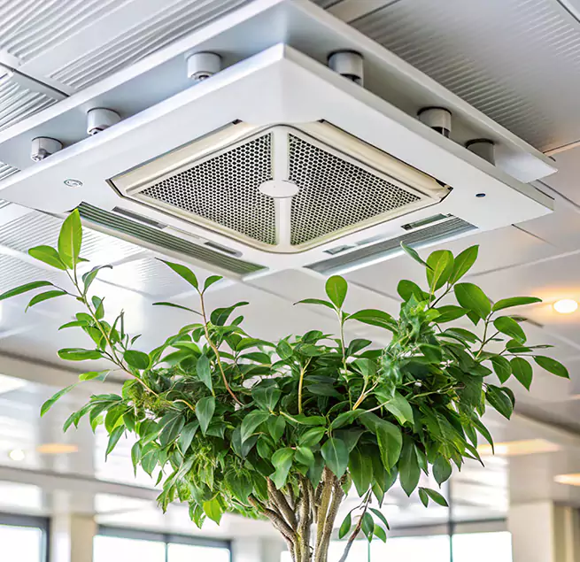 Why Homeowners & Businesses Trust Us in Greenfield, MA?